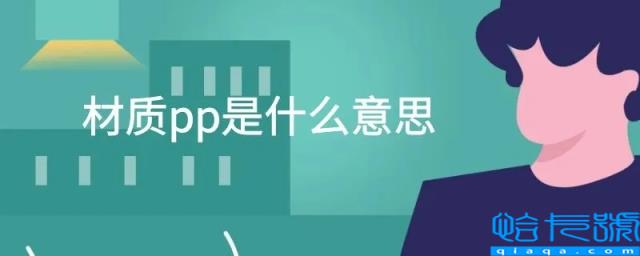 pp是什么意思(pp是什么材料)