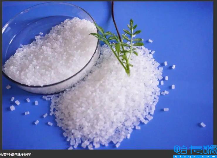 pp是什么意思(pp是什么材料)