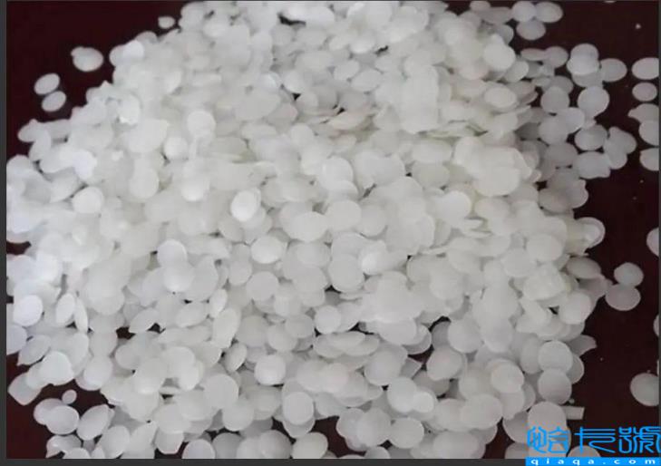 pp是什么意思(pp是什么材料)