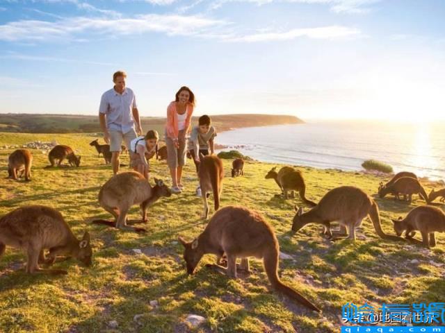 澳大利亚属于哪个洲(它是个什么样的国家)