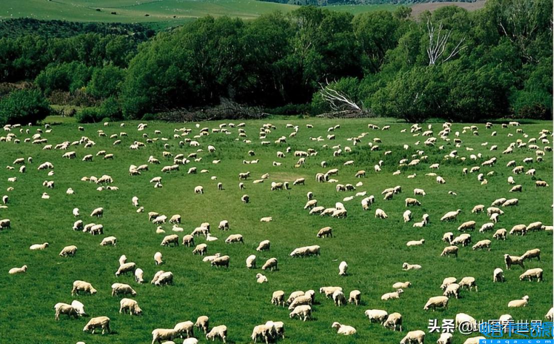 澳大利亚属于哪个洲(它是个什么样的国家)