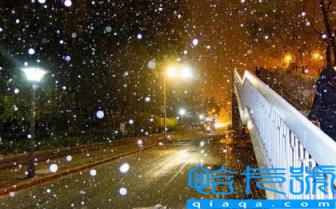 2022年11月云南有雪吗(云南什么时候开始下雪)