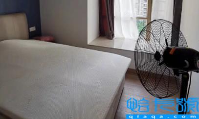 光触媒除甲醛可以开电扇吗(光触媒除甲醛可以喷墙面吗)