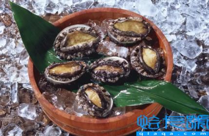 鲍鱼直接冷冻还是煮熟后冷冻(鲍鱼生冻还是熟冻保存)