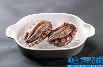 鲍鱼直接冷冻还是煮熟后冷冻(鲍鱼生冻还是熟冻保存)