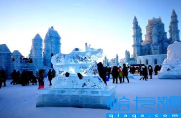 2022(2023哈尔滨冰雪大世界门票多少钱一张-冰雪大世界残疾人免门票吗)
