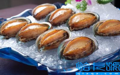 冷冻鲍鱼先解冻还是先煮一下(冷冻的鲍鱼吃之前要解冻吗)