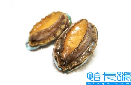 冷冻鲍鱼先解冻还是先煮一下(冷冻的鲍鱼吃之前要解冻吗)