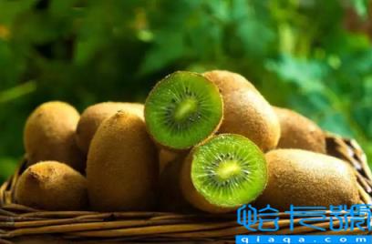 吃猕猴桃可以减少汗毛吗(吃猕猴桃可以减少唇毛吗)