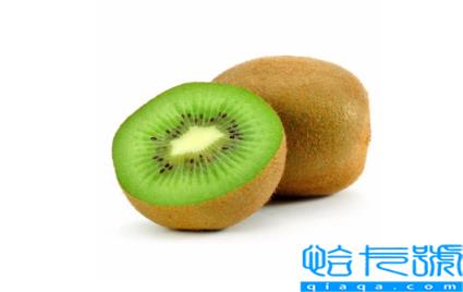 猕猴桃泡酒猕猴桃要熟透吗(猕猴桃泡酒要全熟的吗)