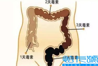 怎样看拉出来的是宿便(排宿便什么样算是排干净了)