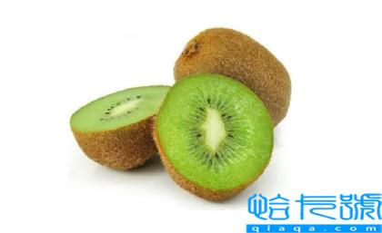 猕猴桃早上吃好还是晚上吃好(猕猴桃上午吃还是下午吃好)