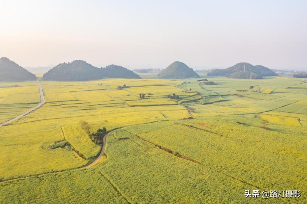 中国10大宜居城市最新出炉(国内十大幸福城市出炉)