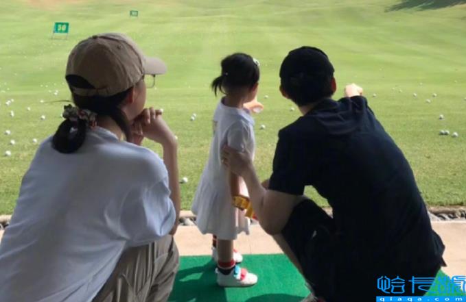 董子健离婚原因疑曝光(董子健个人资料)