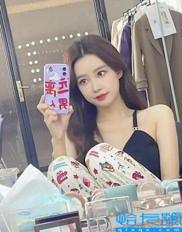 董子健离婚原因疑曝光(董子健个人资料)