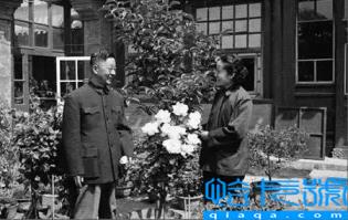 老舍资料(人民艺术家老舍之死)