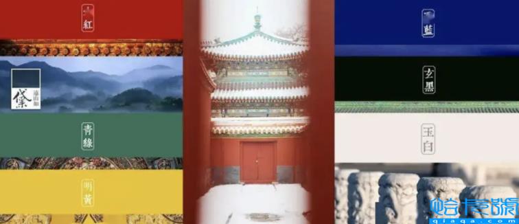 贾浅浅以一己之力,带火了全民写诗(贾浅浅的诗歌)