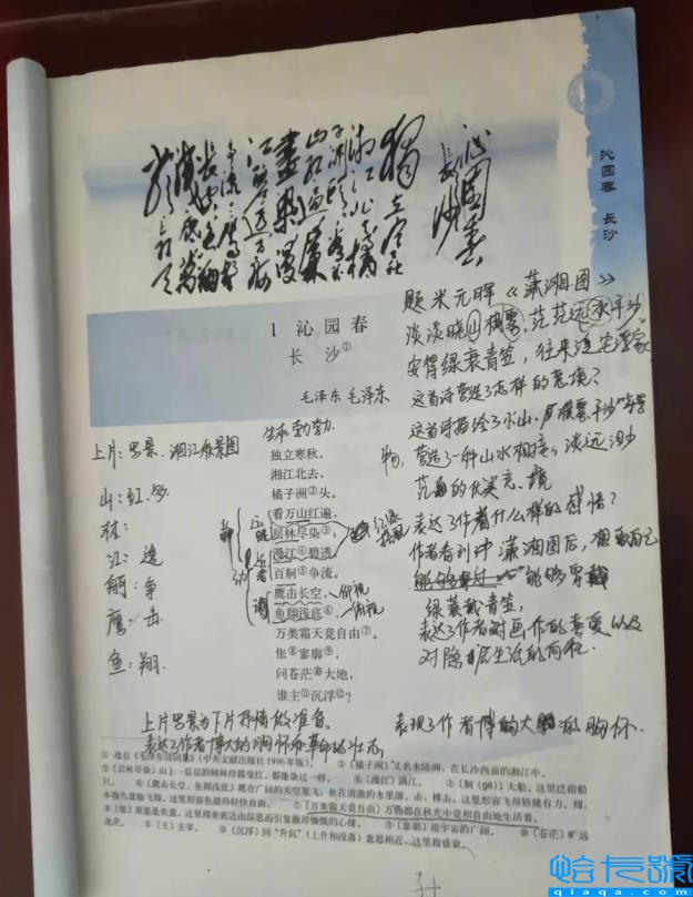 贾浅浅以一己之力,带火了全民写诗(贾浅浅的诗歌)