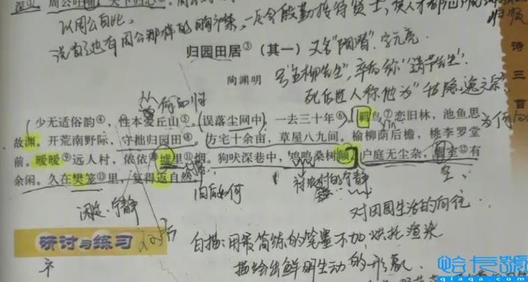 贾浅浅以一己之力,带火了全民写诗(贾浅浅的诗歌)