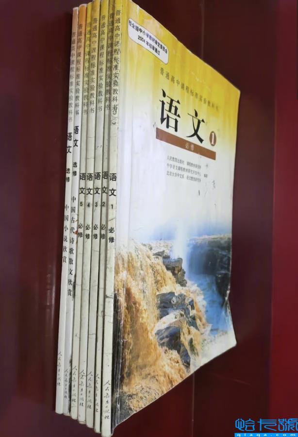 贾浅浅以一己之力,带火了全民写诗(贾浅浅的诗歌)