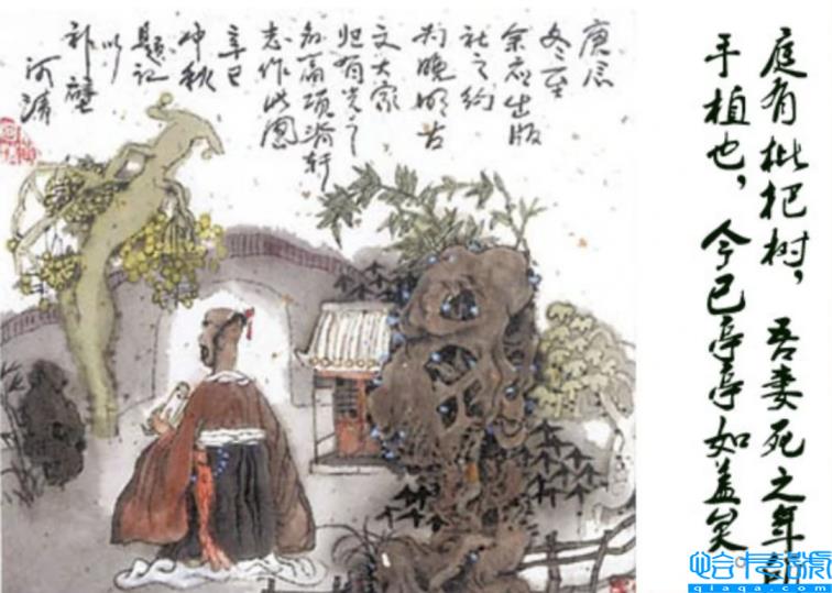 贾浅浅以一己之力,带火了全民写诗(贾浅浅的诗歌)