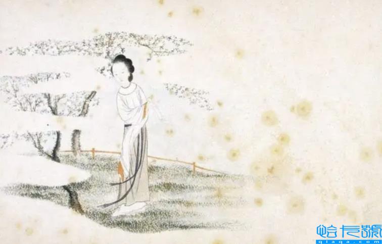 贾浅浅以一己之力,带火了全民写诗(贾浅浅的诗歌)