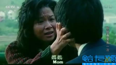 十部国产催泪神片,最高评分9.1(催泪电影)