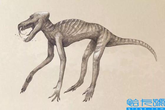 曾经的地球主宰,你都认识吗(恐龙的图片)