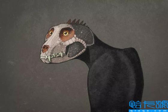 曾经的地球主宰,你都认识吗(恐龙的图片)