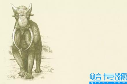 曾经的地球主宰,你都认识吗(恐龙的图片)