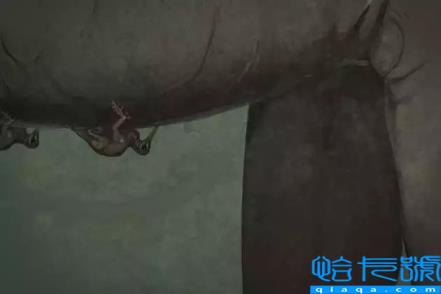 曾经的地球主宰,你都认识吗(恐龙的图片)