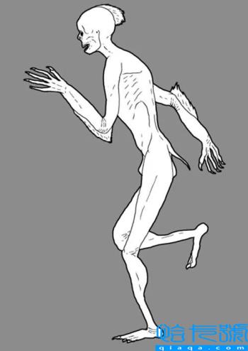 曾经的地球主宰,你都认识吗(恐龙的图片)