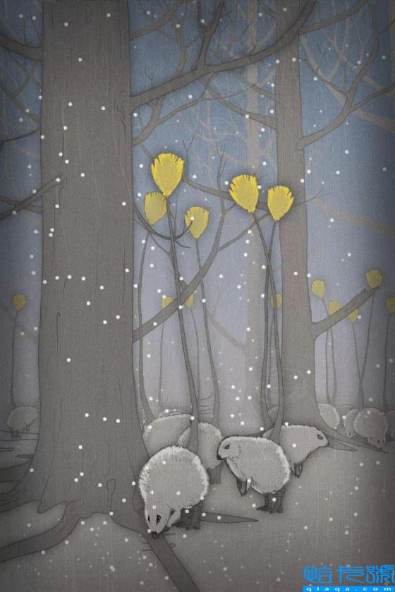 曾经的地球主宰,你都认识吗(恐龙的图片)