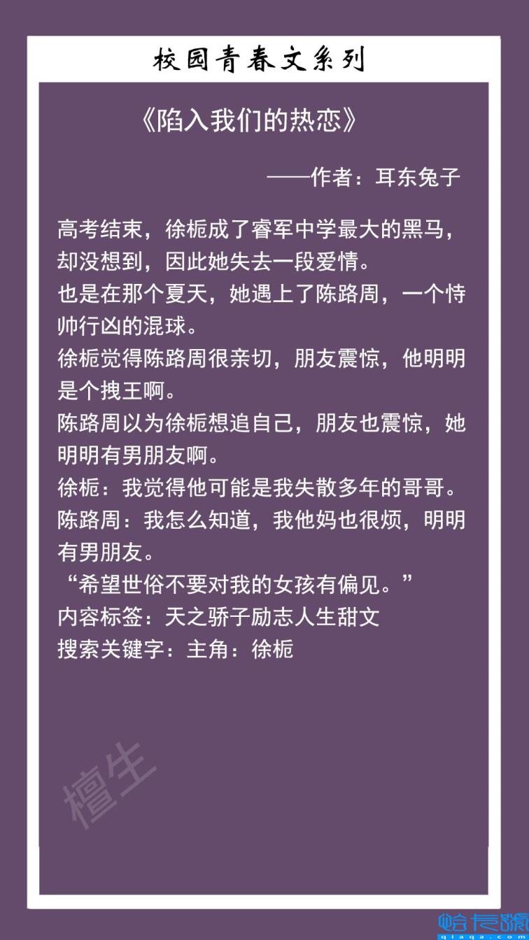 又甜又撩的校园文推荐(校园言情小说)
