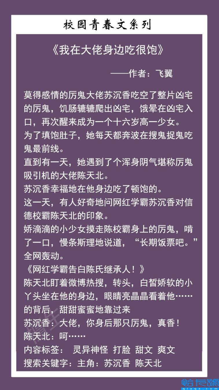 又甜又撩的校园文推荐(校园言情小说)