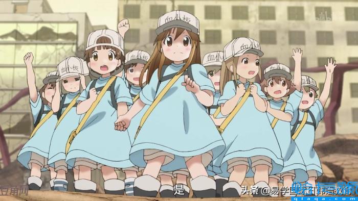 卡哇伊是什么意思(形容一个人卡哇伊是什么意思)