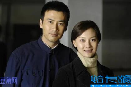 柳云龙主演的谍战片电视剧大全集(柳云龙新剧)