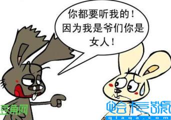 大男子主义是什么意思(什么是大男子主义)