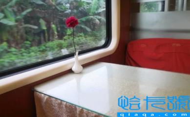 火车上随时可以去餐车吃饭吗(不买东西可以去餐车吃饭吗)