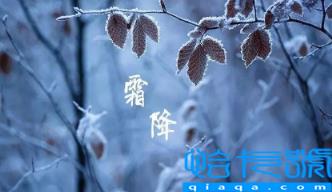 2022年霜降后天气还热吗(霜降温度会很低吗)