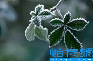 2022年霜降后天气还热吗(霜降温度会很低吗)