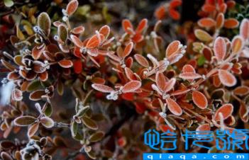 2022霜降后可以穿棉袄吗(霜降后天气有哪些变化)