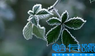 2022霜降后可以穿棉袄吗(霜降后天气有哪些变化)