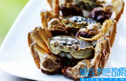 螃蟹冷冻后为什么会空(螃蟹怎么冻才不会空壳)