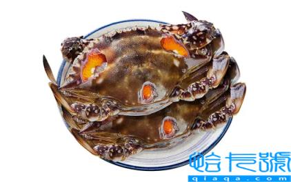 生腌蟹腌好后能保存多长时间(生腌蟹放冰箱能放几天)