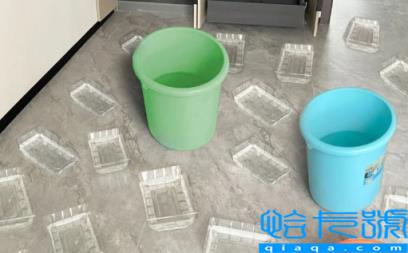 除甲醛七天入住是真的吗(每天吸甲醛7小时会怎样)