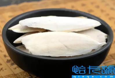 墨鱼骨的功效与作用(墨鱼骨的吃法有哪些)