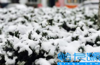 2022青岛冬天什么时候开始冷(青岛冬天几月到几月)