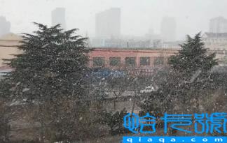 2022青岛冬天什么时候开始冷(青岛冬天几月到几月)