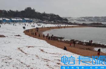 2022年青岛11月份有雪吗(青岛一般几月份开始下雪)